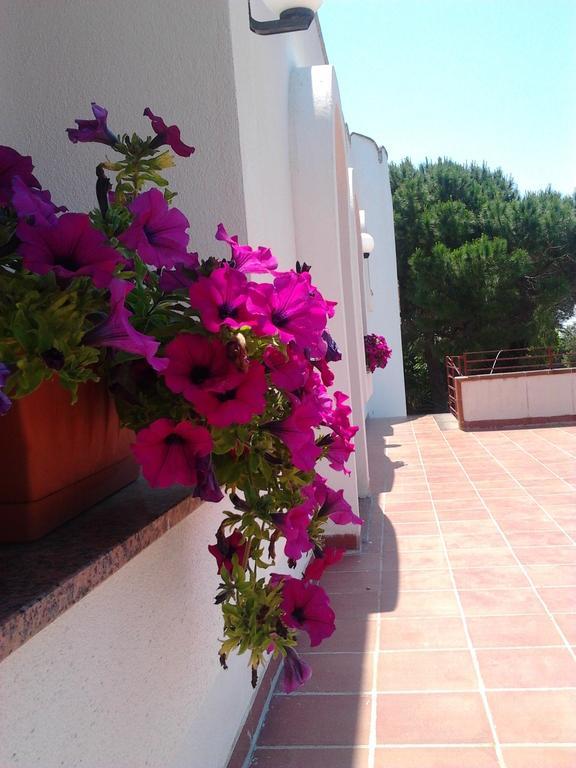 B&B Masseria Nova Торре-Сан-Джованни-Удженто Экстерьер фото